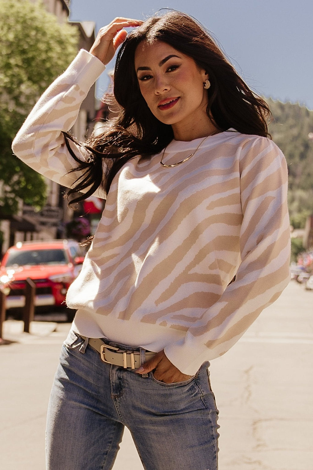 Carter Sweater | Oatmeal Print