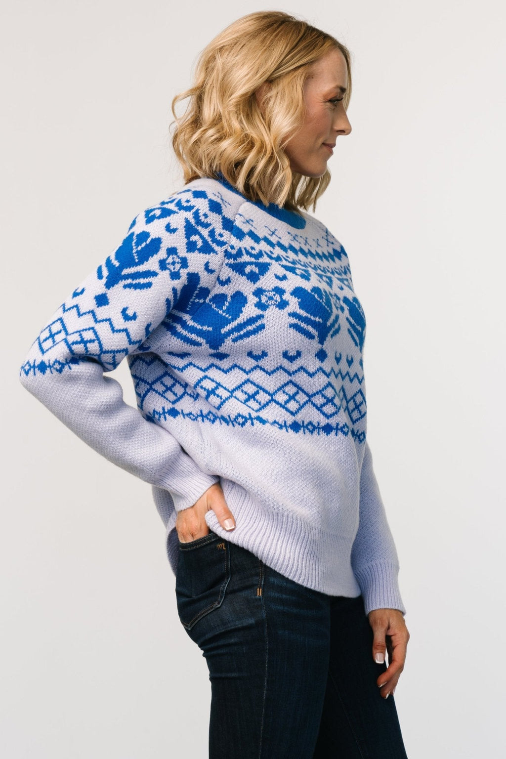 Lucerne Sweater | Blue Multi